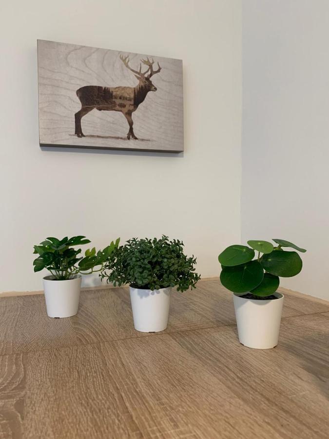Koblenz City Rooms, Wifi, Netflix Dış mekan fotoğraf